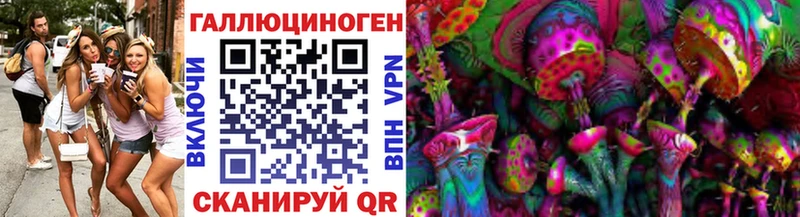 omg маркетплейс  Котельниково  Галлюциногенные грибы Psilocybine cubensis 